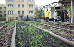 urban farms florida 