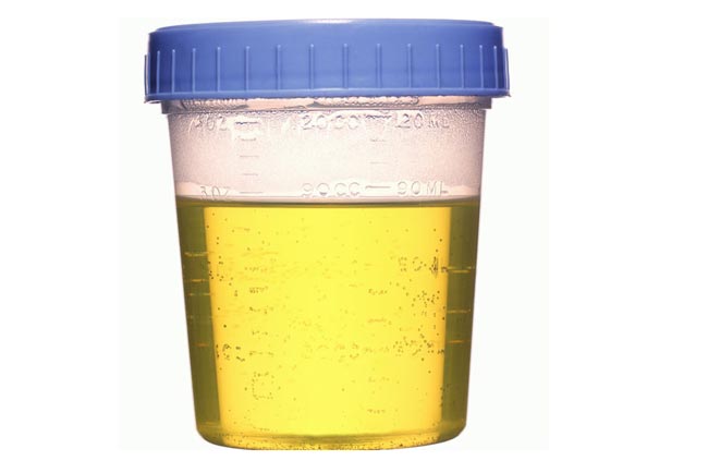 urine tests gov. rick scott florida drug testing state workers employees federal law 