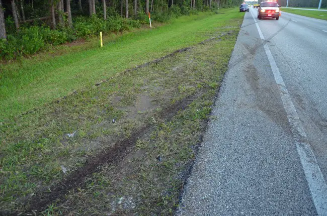 The marks, clearly visible, from where the driver swerved into the wood line. Click on the image for larger view. (© FlaglerLive)