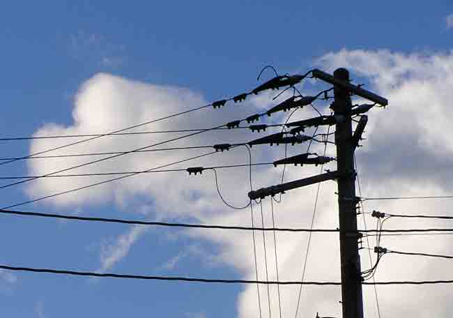 utility-poles-art