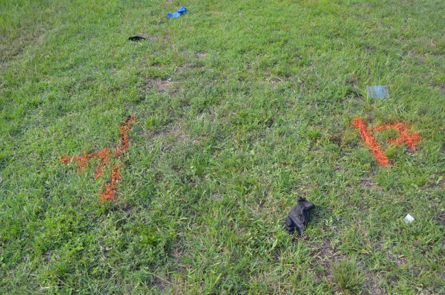 Where the victim's head and feet ended up, some seven yards from the bike, in the median, perpendicular to the highway. Click on the image for larger view. (© FlaglerLive)