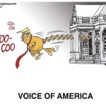 Voice of America by Bill Day, FloridaPolitics.com