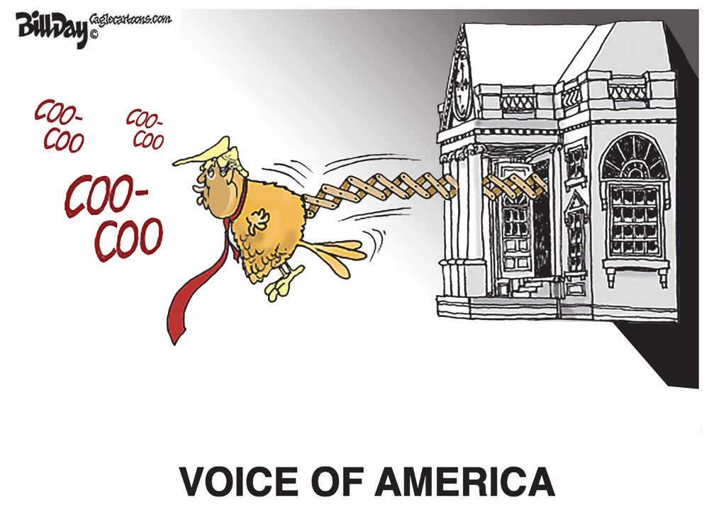 Voice of America by Bill Day, FloridaPolitics.com