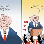 Bruce Plante, PoliticalCartoons.com voting rights