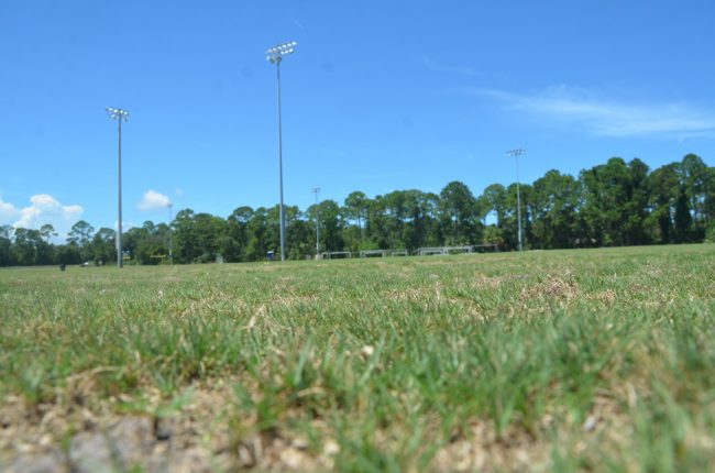 soccer fields wadsworth park