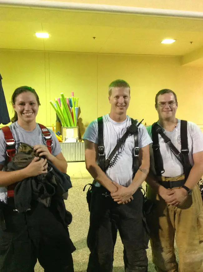 The Flagler Beach Fire Department's Kitten Task Force: Morgan Walden, Dusty Snyder and Jeremy Macklefresh. (Ashley Brumfield )