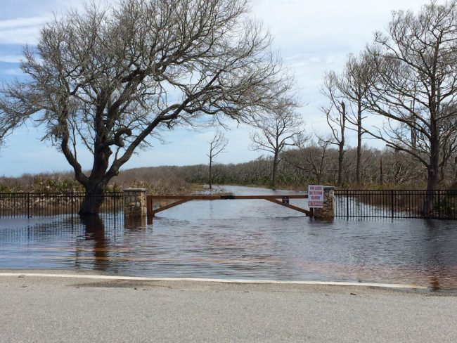 The entrance to Washington Oaks Garden State Park. (c FlaglerLive)