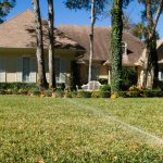 Have a beautiful landscape without excess water use. Discover simple water conservation tips for your entire home at WaterLessFlorida.com.