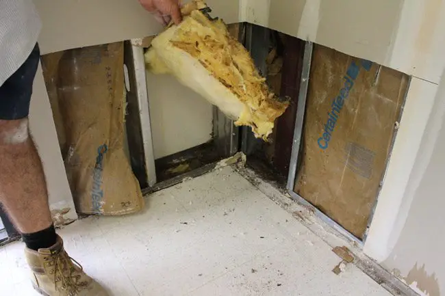 An example of water intrusion county officials discovered this week at the Sears building. (Flagler County)