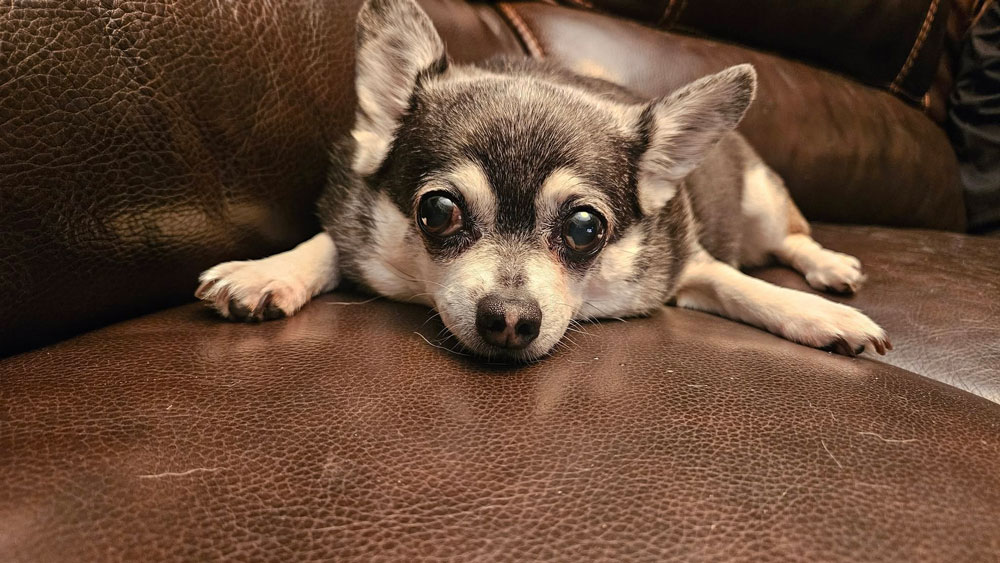 Wednesday. (Eric Cooley)