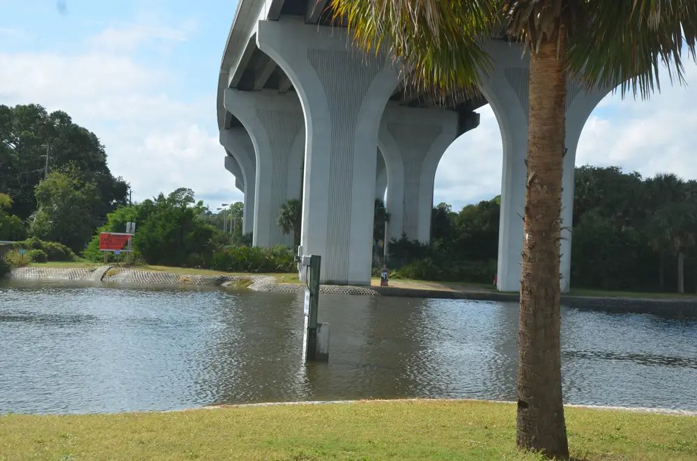 The west side of the Intracoastal, across the waterway, under the Flagler Beach bridge, is overgrown with Brazilian peppers, but a $15,000 project would transform it into a passive park similar to the one on the east side of the bridge. (© FlaglerLive)