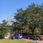 Authorities have removed a toddler, an 87-year-old man and his 38-year-old son from a house on Westmoreland Drive in Palm Coast, and arrested the couple who was caring for them.