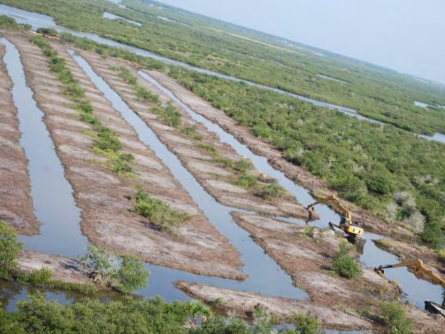 Wetlands as they're being 'restored.' The after shot. Click on the image for larger view. 