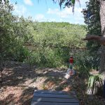 Flagler Beach City Commissioner Ken Bryan points to the wetlands behind his property on Palm Drive, and the eroded berm system, in the foreground, that is now breached in several places. (© FlaglerLive)