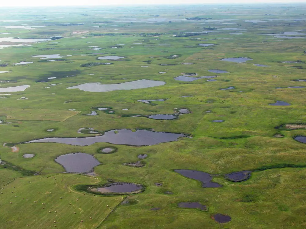 Many ecologically important wetlands, like these in Kulm, N.D., lack surface connections to navigable waterways. (USFWS Mountain-Prairie/Flickr, CC BY)