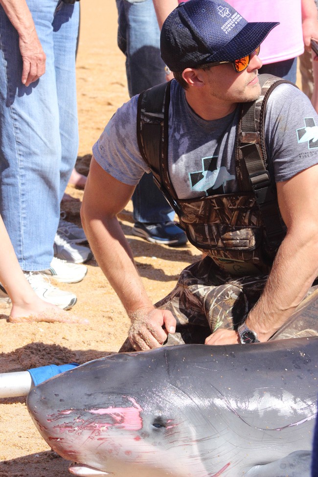 Staffers  from the Georgia Aquarium Conservation Field Station tended to the whale.  (© Sherry Blevins for FlaglerLive)