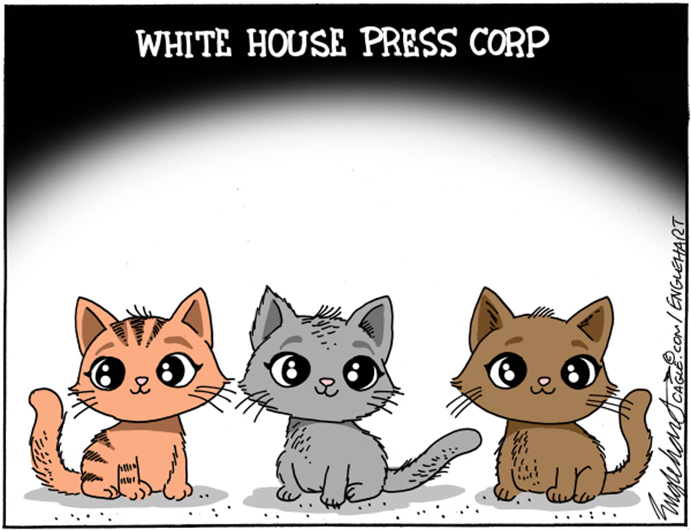 White House Press Corp by Bob Englehart, PoliticalCartoons.com