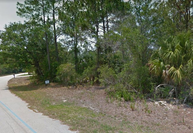 The shooting took place on White Star Drive in Palm Coast, an area lined by wooded lots.