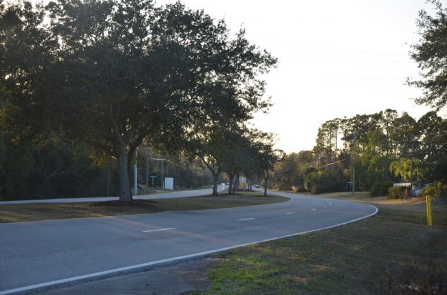 Whiteview Parkway looking west. (© FlaglerLive)