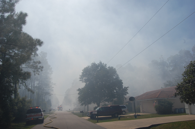 palm coast wildfire on esperanto drive