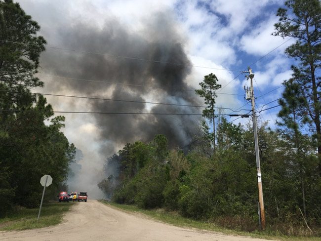 flagler wildfires