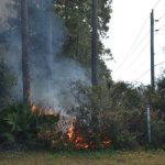 It's been a while since wildfires bedeviled Palm Coast and other neighborhoods, but county officials are hoping the dry conditions that have been persisting don't result in a return of a hot fire season. (© FlaglerLive)