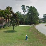 The incident took place in mid-February on Willard Place in Palm Coast. (Google)