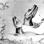 The naturalist William Bartram was as celebrated for his travel observations as for his drawings, like those above, of alligators in the St. Johns River. (Florida Memory)