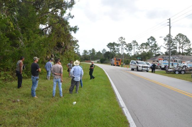 electrocution palm coast 