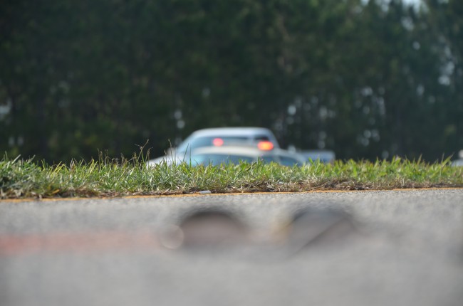 The victim's glasses fell at the edge of the grass where he lost control, just before the bike began flipping. Click on the image for larger view. (© FlaglerLive)