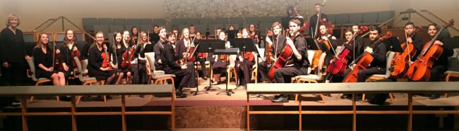 flagler youth orchestra