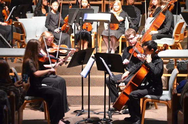 flagler youth orchestra chamber music camp